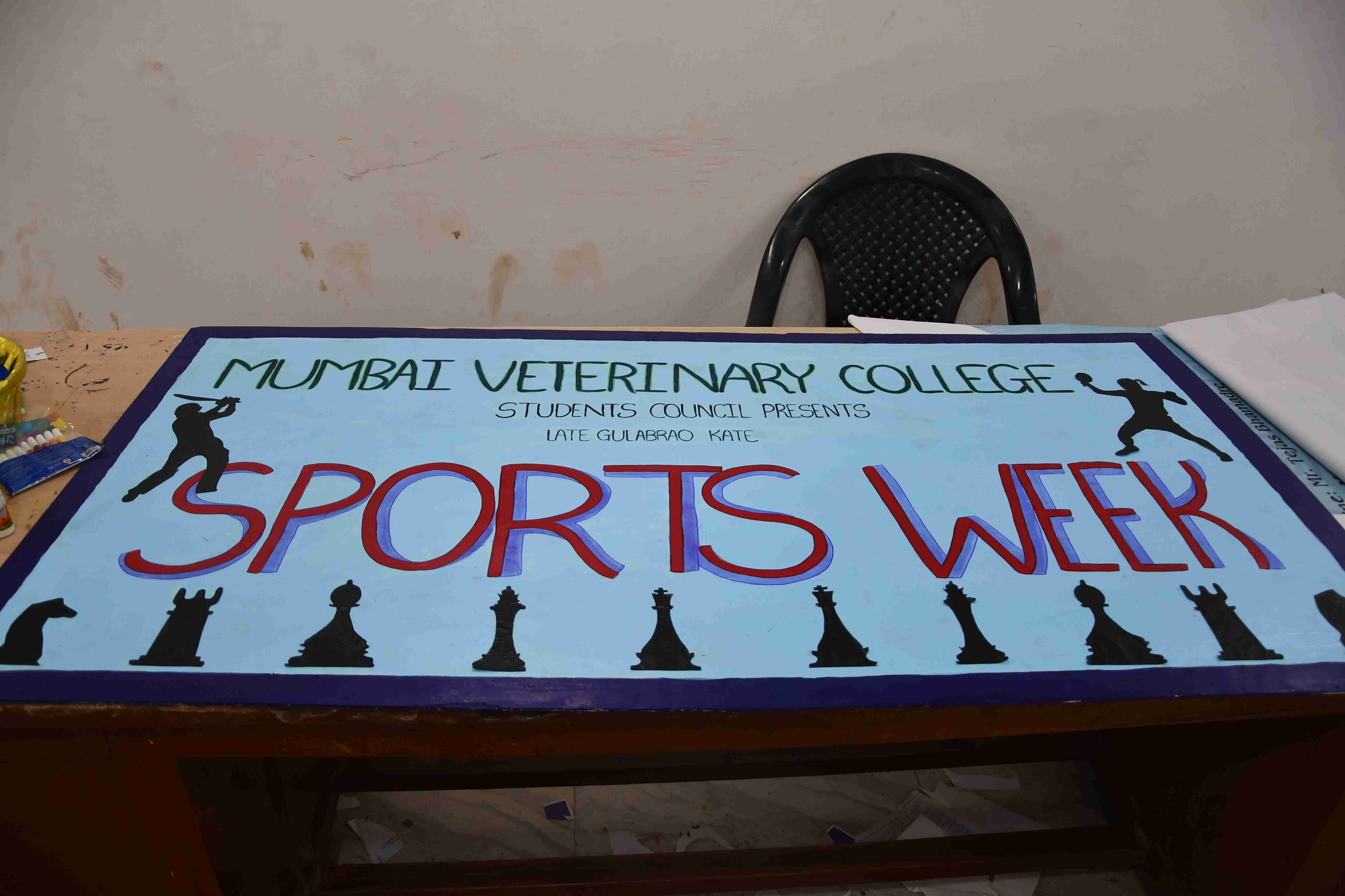 Sports Banner